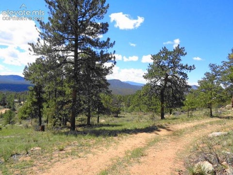 Tiny photo for 549 Circle Drive, Florissant, CO 80816 (MLS # 7059672)
