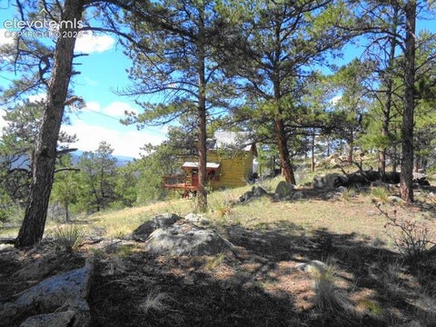 Tiny photo for 549 Circle Drive, Florissant, CO 80816 (MLS # 7059672)