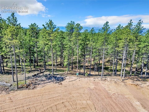 Photo of 14251 Allen Ranch Road, Colorado Springs, CO 80908 (MLS # 7825811)