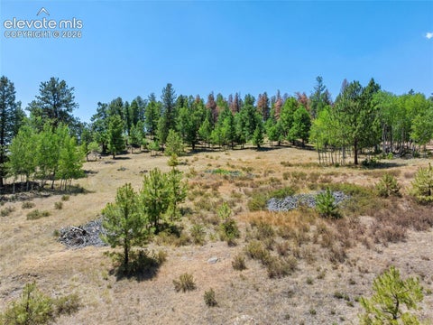 Tiny photo for 841 Plateau Drive, Guffey, CO 80820 (MLS # 5587395)