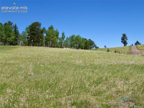 Photo of 307 Pinaceae Heights, Divide, CO 80814 (MLS # 4108347)