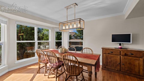Tiny photo for 2405 Linenhall Court, Colorado Springs, CO 80920 (MLS # 2784522)