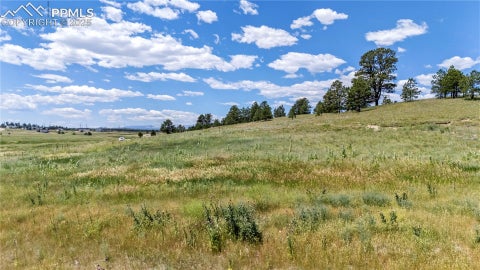 Photo of 10958 Alamar Way, Colorado Springs, CO 80908 (MLS # 7787343)