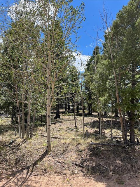Photo of 506 Castle Mountain Drive, Guffey, CO 80820 (MLS # 5127218)