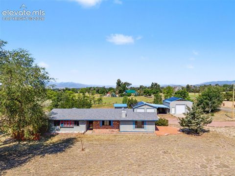 Photo of 1335 Apple Lane, Penrose, CO 81240 (MLS # 9766944)