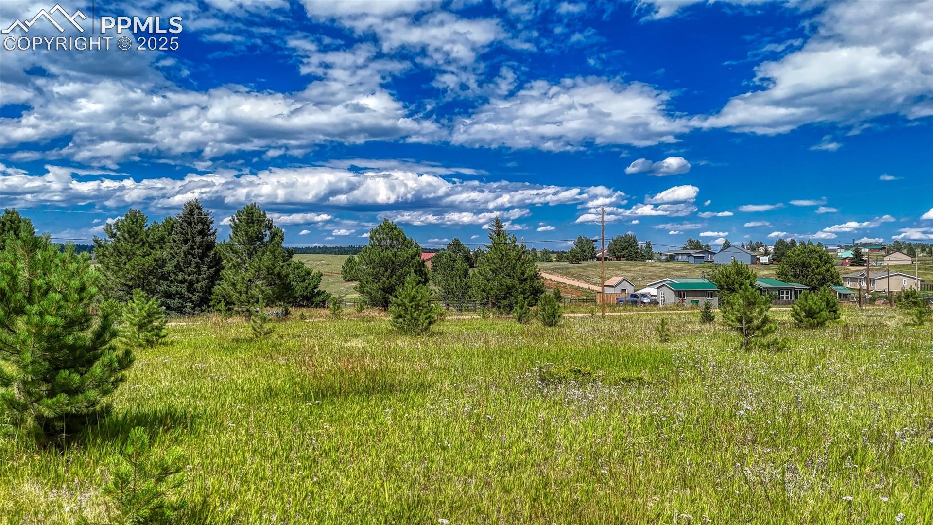 1129 Will Scarlet Drive