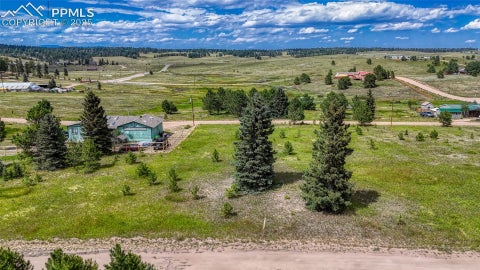 Photo of 1129 Will Scarlet Drive, Divide, CO 80814 (MLS # 6129010)