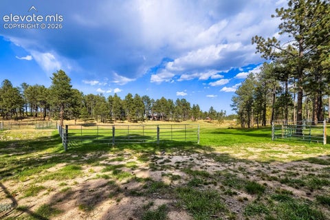 Tiny photo for 12295 Domino Way, Colorado Springs, CO 80908 (MLS # 9482911)