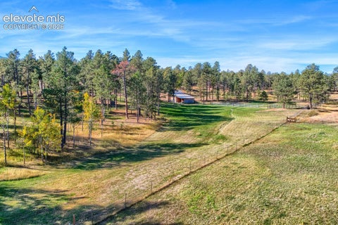 Tiny photo for 12295 Domino Way, Colorado Springs, CO 80908 (MLS # 9482911)