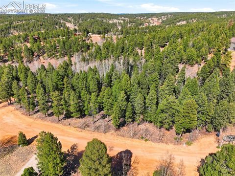 Photo of 278 Cherry Lake Drive, Divide, CO 80814 (MLS # 9178840)