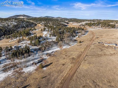Photo of 546 Alpine Meadows Lane, Florissant, CO 80816 (MLS # 8889887)