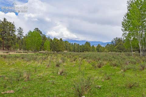 Photo of 4250 Doe Valley Road, Guffey, CO 80820 (MLS # 5729748)
