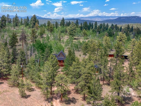 Tiny photo for 215 Valley Road, Florissant, CO 80816 (MLS # 6616974)