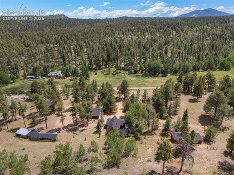 Tiny photo for 215 Valley Road, Florissant, CO 80816 (MLS # 6616974)