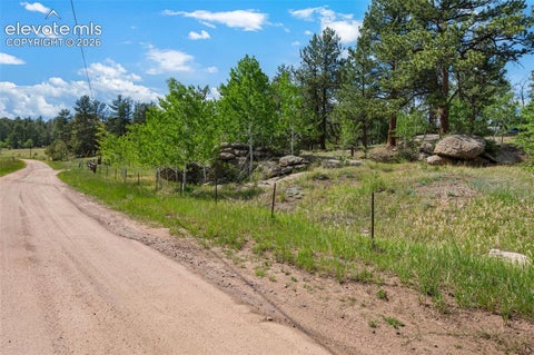 Tiny photo for 215 Valley Road, Florissant, CO 80816 (MLS # 6616974)