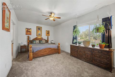Tiny photo for 4046 S Cranberry Loop, Canon City, CO 81212 (MLS # 3132016)