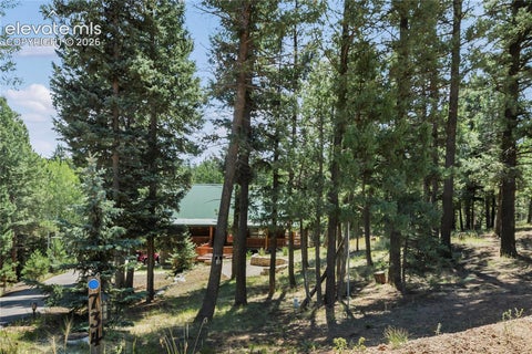 Tiny photo for 734 Kutsu Ridge Road, Florissant, CO 80816 (MLS # 6835463)