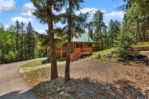 Tiny photo for 734 Kutsu Ridge Road, Florissant, CO 80816 (MLS # 6835463)
