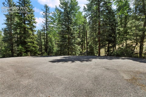 Tiny photo for 734 Kutsu Ridge Road, Florissant, CO 80816 (MLS # 6835463)