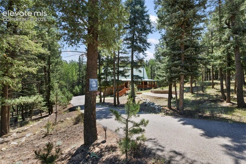 Tiny photo for 734 Kutsu Ridge Road, Florissant, CO 80816 (MLS # 6835463)