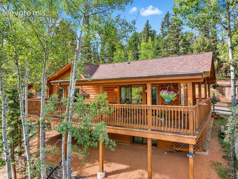 Photo of 1369 Spring Valley Drive, Divide, CO 80814 (MLS # 4980084)