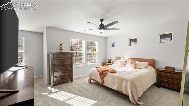 9443 Cashel Trail