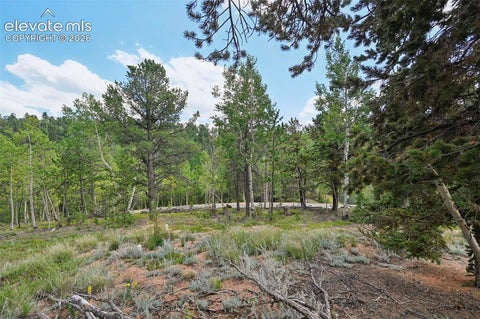 Tiny photo for 2659 Edlowe Road, Woodland Park, CO 80863 (MLS # 9835424)