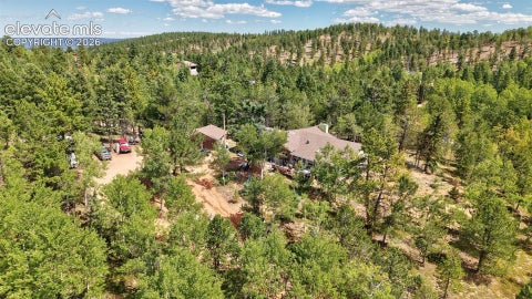 Tiny photo for 2659 Edlowe Road, Woodland Park, CO 80863 (MLS # 9835424)