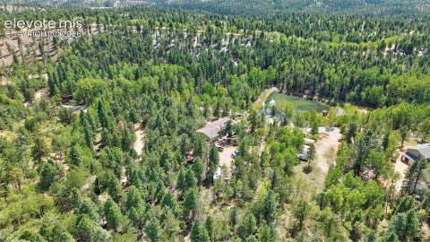 Tiny photo for 2659 Edlowe Road, Woodland Park, CO 80863 (MLS # 9835424)