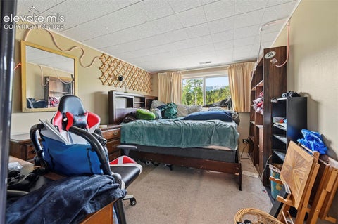 Tiny photo for 2659 Edlowe Road, Woodland Park, CO 80863 (MLS # 9835424)