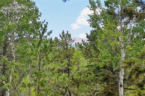 Tiny photo for 2659 Edlowe Road, Woodland Park, CO 80863 (MLS # 9835424)