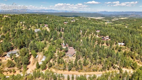 Tiny photo for 2659 Edlowe Road, Woodland Park, CO 80863 (MLS # 9835424)