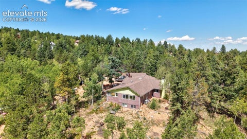 Tiny photo for 2659 Edlowe Road, Woodland Park, CO 80863 (MLS # 9835424)