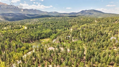 Tiny photo for 2659 Edlowe Road, Woodland Park, CO 80863 (MLS # 9835424)
