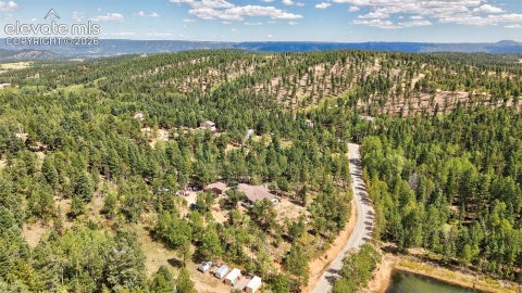Tiny photo for 2659 Edlowe Road, Woodland Park, CO 80863 (MLS # 9835424)