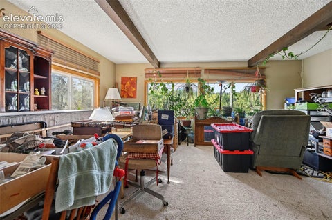 Tiny photo for 2659 Edlowe Road, Woodland Park, CO 80863 (MLS # 9835424)