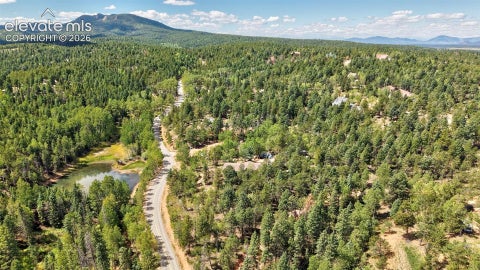Tiny photo for 2659 Edlowe Road, Woodland Park, CO 80863 (MLS # 9835424)