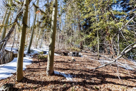 Photo of 944 Roberts Road, Alma, CO 80420 (MLS # 1007631)