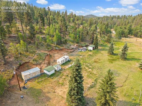 Photo of 974 W Bison Creek Trail, Divide, CO 80814 (MLS # 6844614)