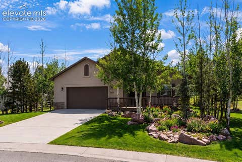 Tiny photo for 1157 Ptarmigan Drive, Woodland Park, CO 80863 (MLS # 4492488)