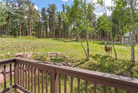 Tiny photo for 1157 Ptarmigan Drive, Woodland Park, CO 80863 (MLS # 4492488)