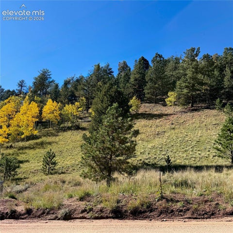 Photo of 200 Beaver Pond Road, Divide, CO 80814 (MLS # 6070213)