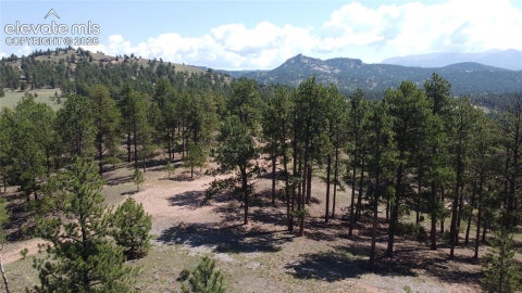 Photo of 11042 County Road 1, Florissant, CO 80816 (MLS # 1463545)