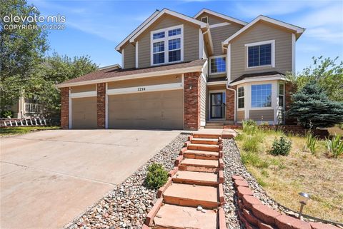 Photo of 7239 Withers Place, Colorado Springs, CO 80922 (MLS # 4971394)
