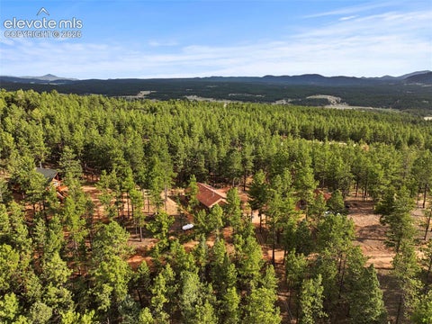 Tiny photo for 1110 Pikes Peak Drive, Florissant, CO 80816 (MLS # 1233078)