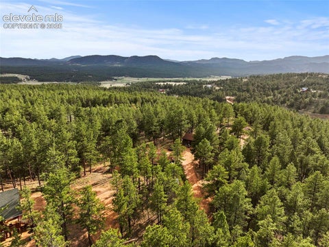 Tiny photo for 1110 Pikes Peak Drive, Florissant, CO 80816 (MLS # 1233078)