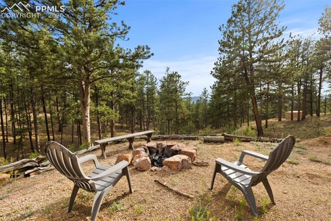 Tiny photo for 1110 Pikes Peak Drive, Florissant, CO 80816 (MLS # 1233078)