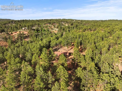 Tiny photo for 1110 Pikes Peak Drive, Florissant, CO 80816 (MLS # 1233078)