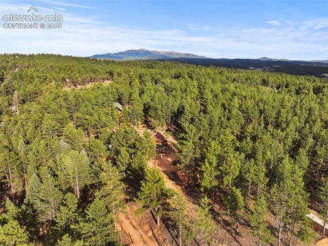 Tiny photo for 1110 Pikes Peak Drive, Florissant, CO 80816 (MLS # 1233078)