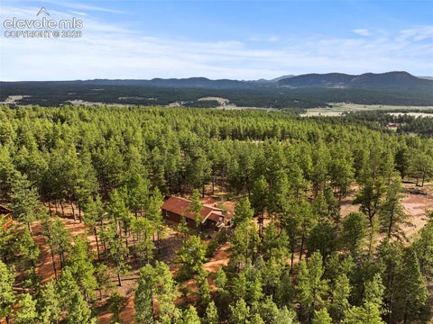 Tiny photo for 1110 Pikes Peak Drive, Florissant, CO 80816 (MLS # 1233078)